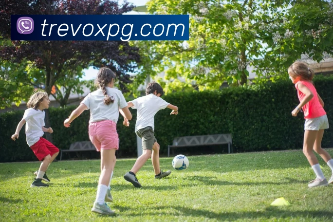 pg官网服务体系